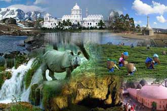 All India travel package
