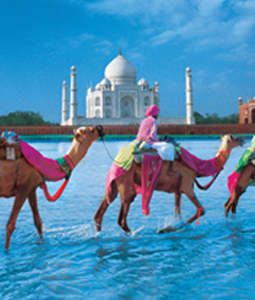 golden-triangle-tours