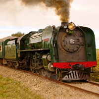 train-your